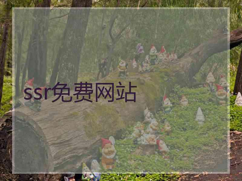 ssr免费网站