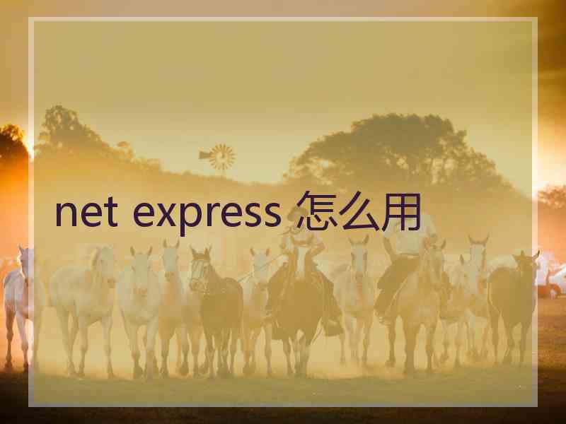 net express 怎么用