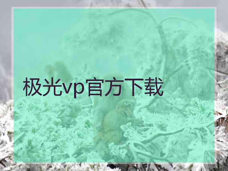 极光vp官方下载