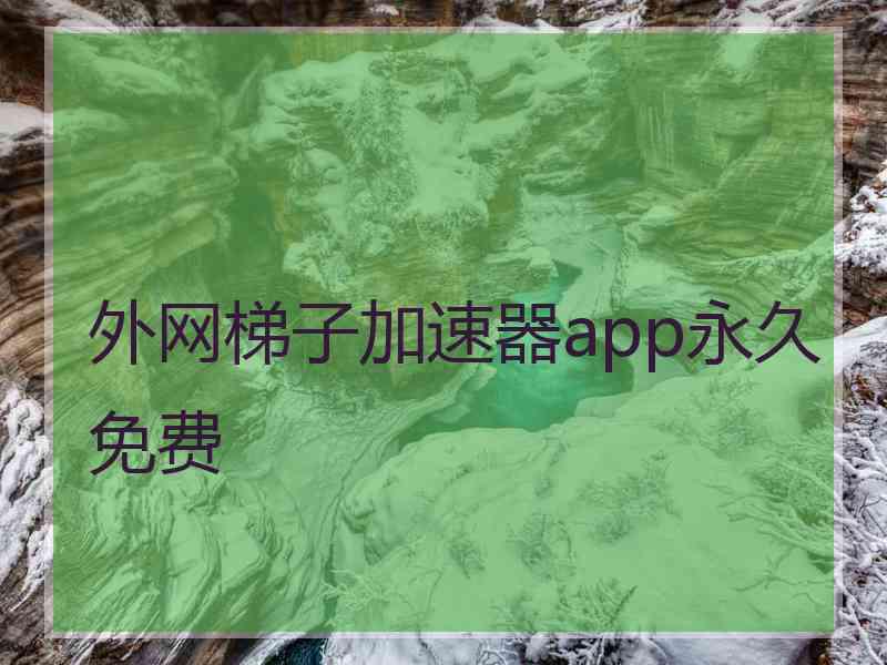 外网梯子加速器app永久免费