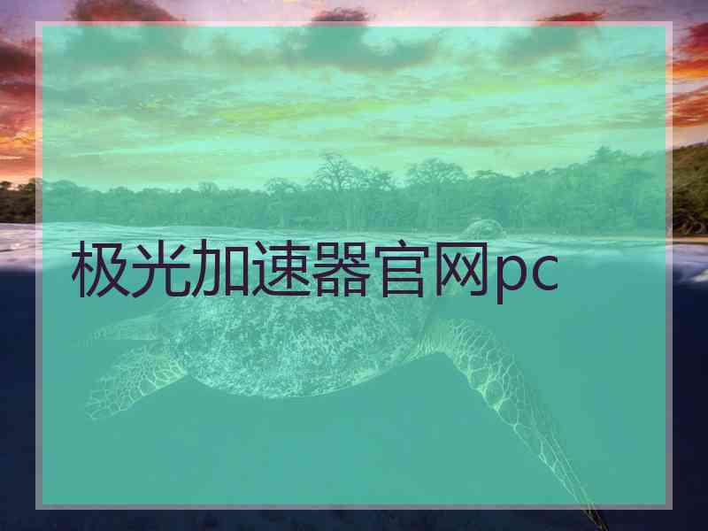 极光加速器官网pc