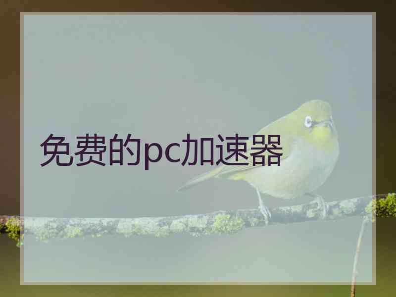 免费的pc加速器