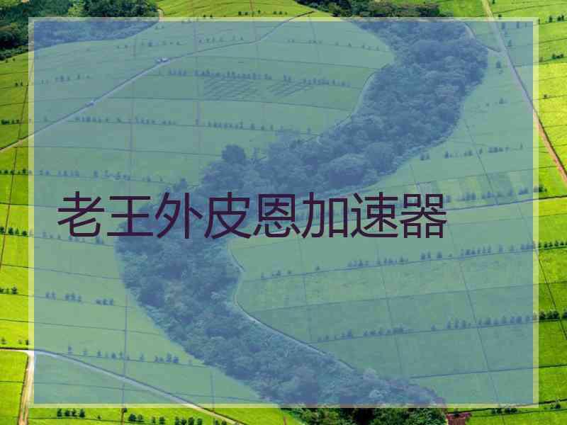 老王外皮恩加速器