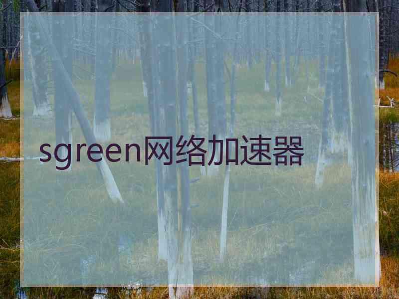 sgreen网络加速器