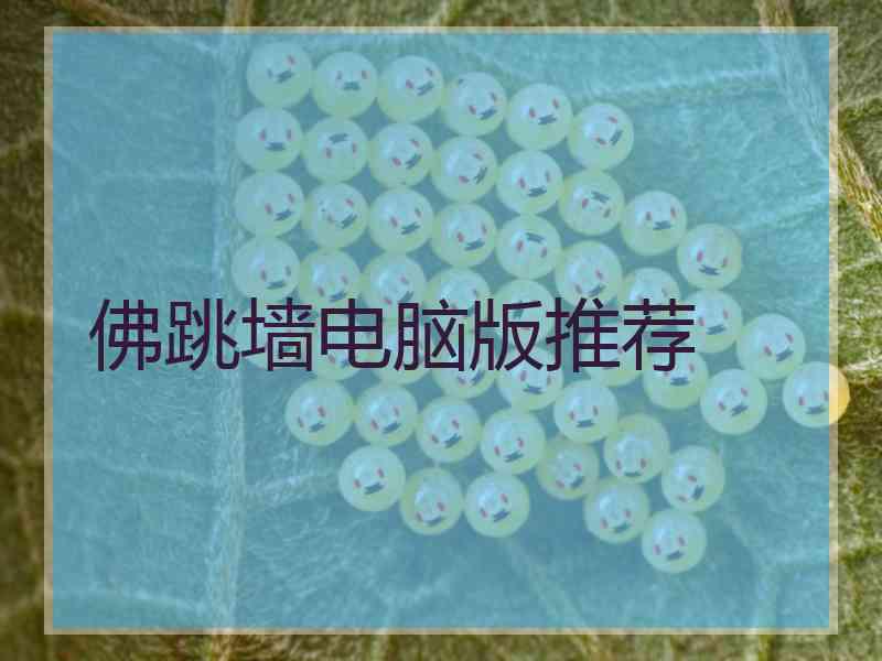 佛跳墙电脑版推荐