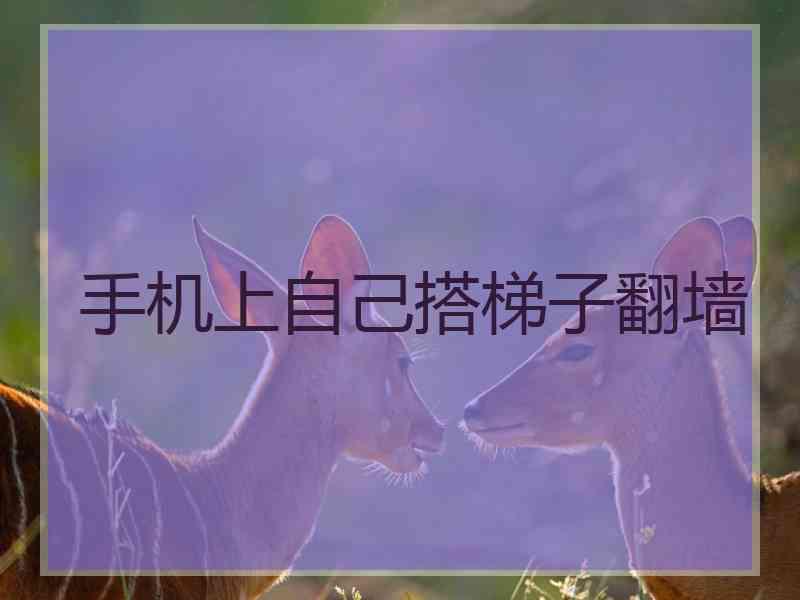 手机上自己搭梯子翻墙