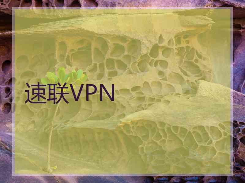 速联VPN