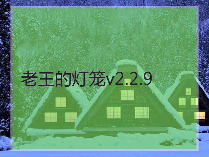 老王的灯笼v2.2.9