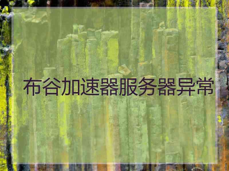 布谷加速器服务器异常