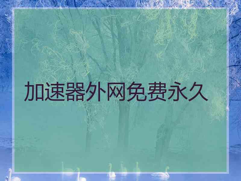 加速器外网免费永久