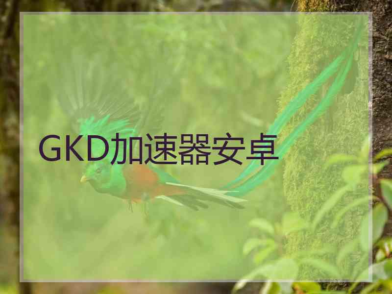 GKD加速器安卓