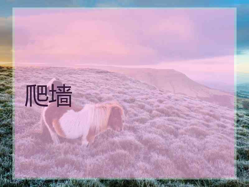 爬墙