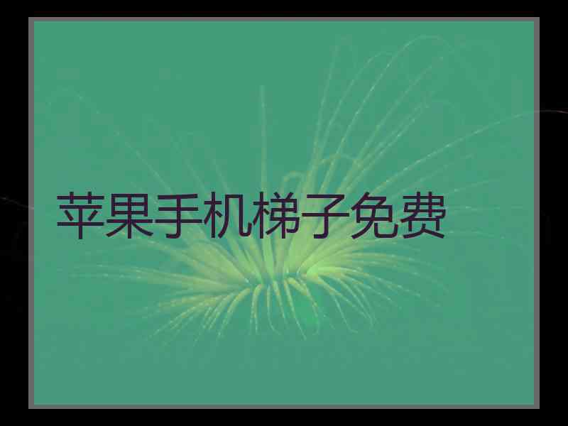 苹果手机梯子免费