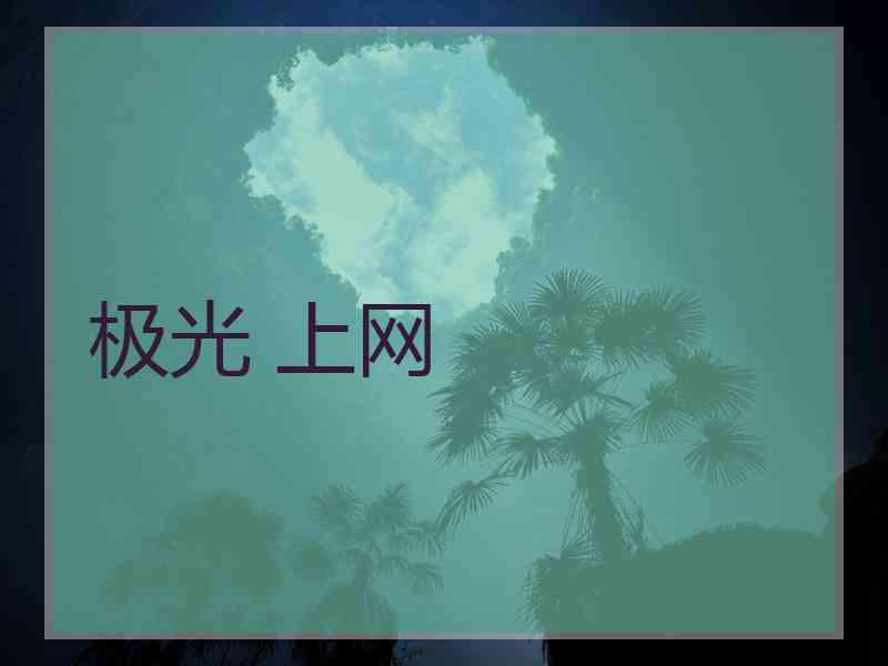 极光 上网