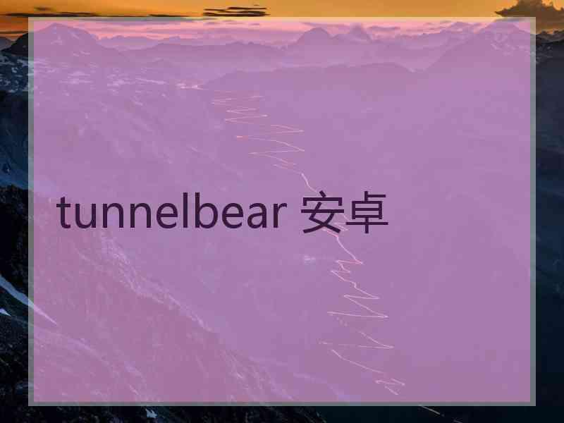 tunnelbear 安卓