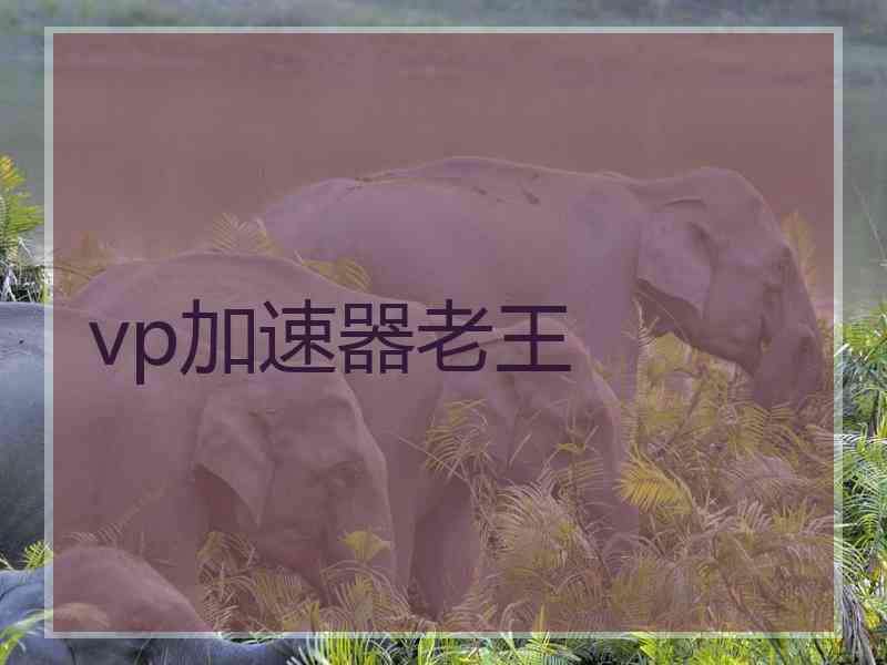 vp加速器老王