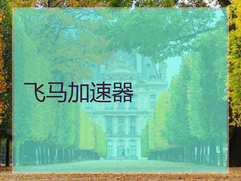 飞马加速器