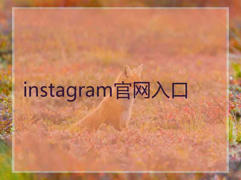 instagram官网入口
