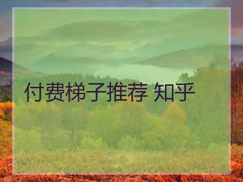 付费梯子推荐 知乎