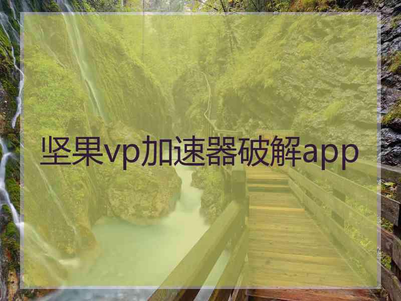 坚果vp加速器破解app