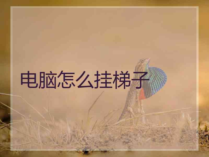 电脑怎么挂梯子
