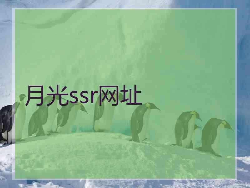 月光ssr网址