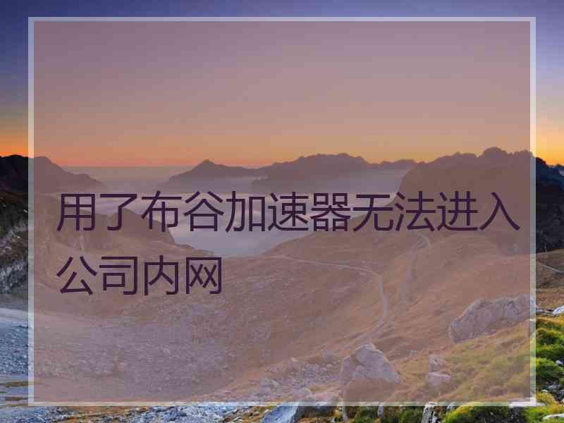 用了布谷加速器无法进入公司内网