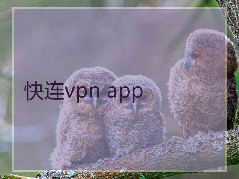 快连vpn app
