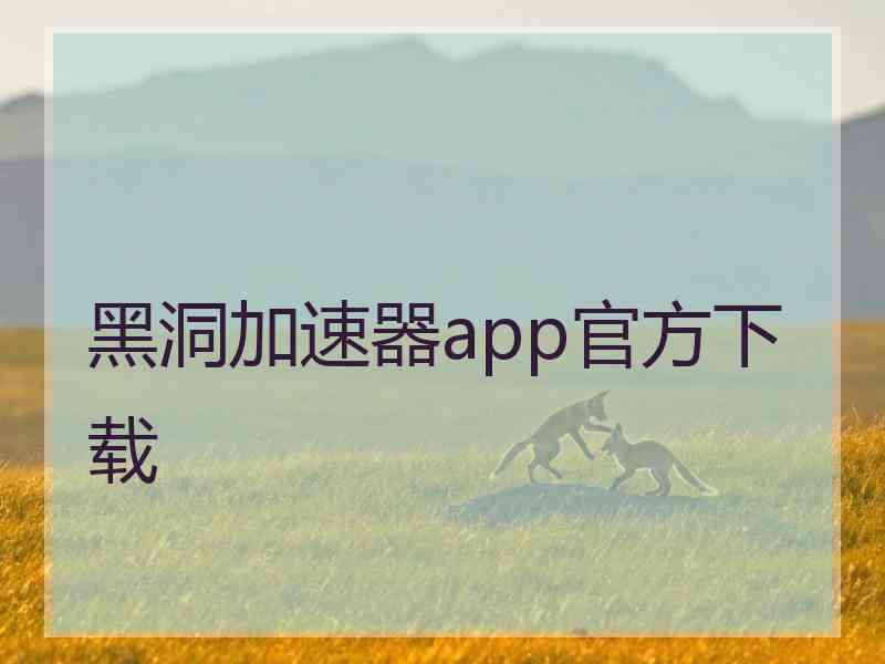 黑洞加速器app官方下载
