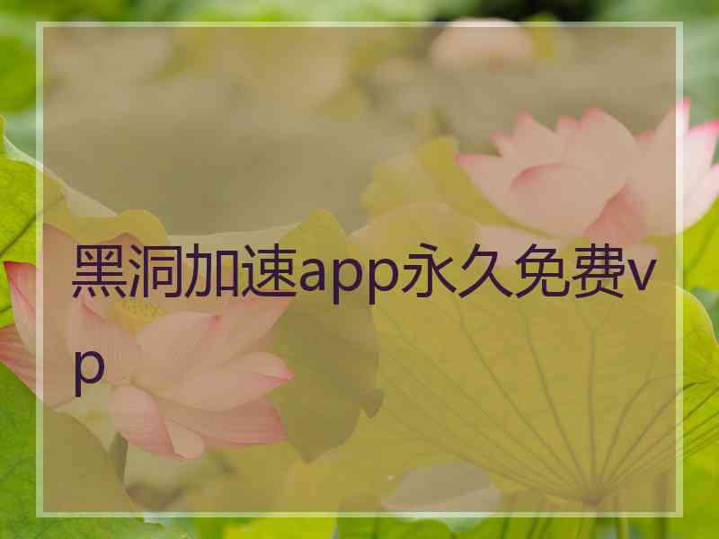 黑洞加速app永久免费vp