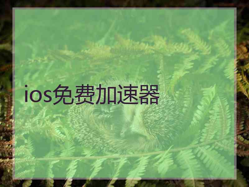 ios免费加速器