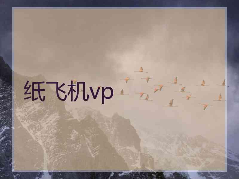 纸飞机vp