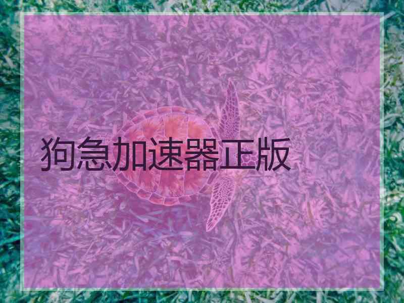 狗急加速器正版