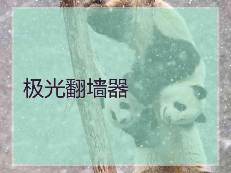 极光翻墙器