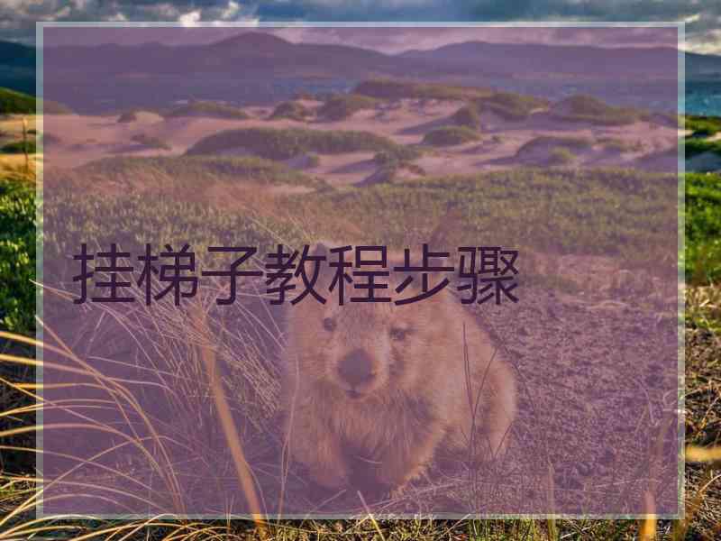挂梯子教程步骤