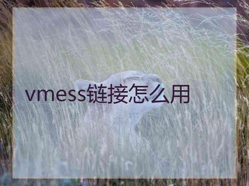 vmess链接怎么用