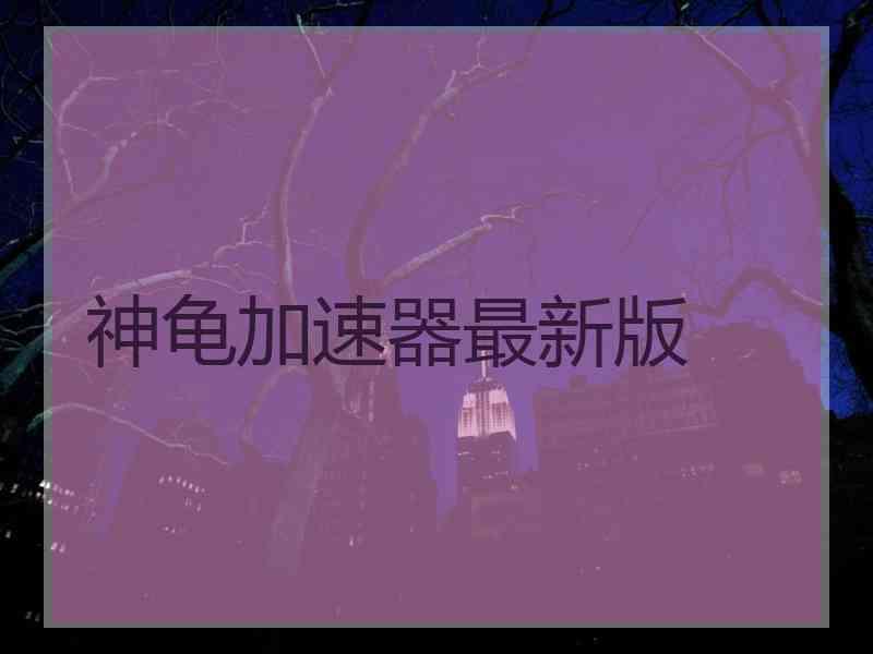 神龟加速器最新版