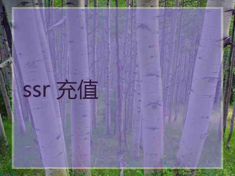 ssr 充值