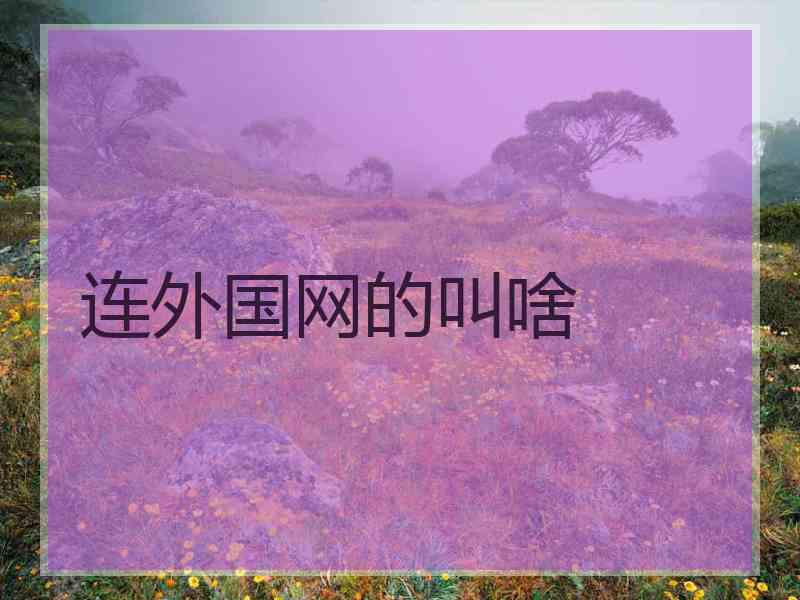 连外国网的叫啥