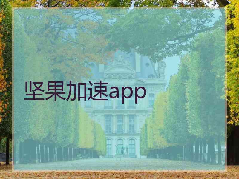 坚果加速app