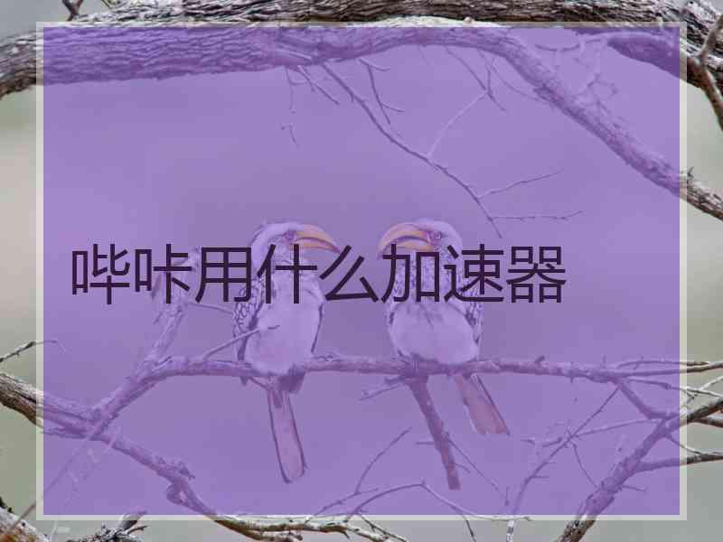 哔咔用什么加速器