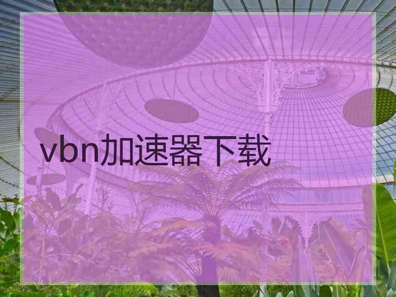 vbn加速器下载