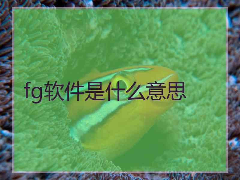 fg软件是什么意思