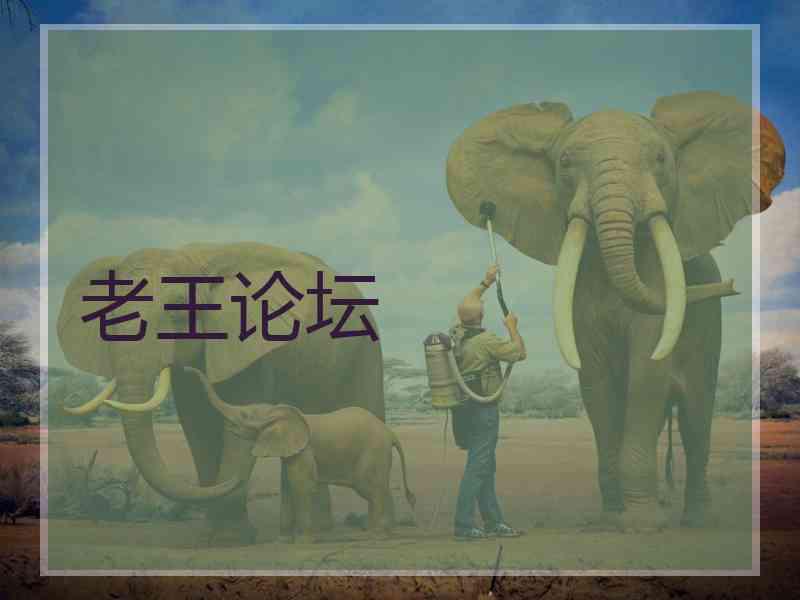 老王论坛
