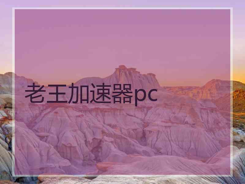 老王加速器pc