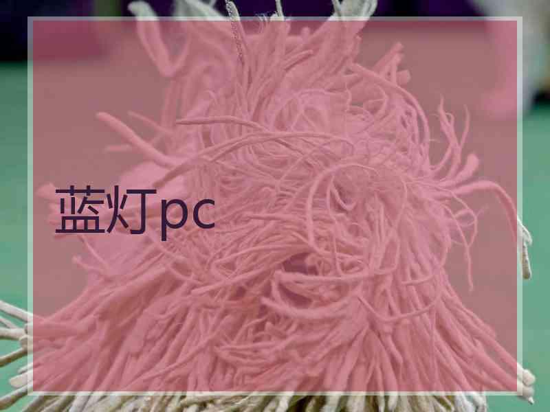 蓝灯pc