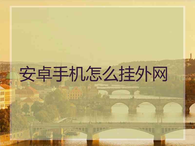 安卓手机怎么挂外网
