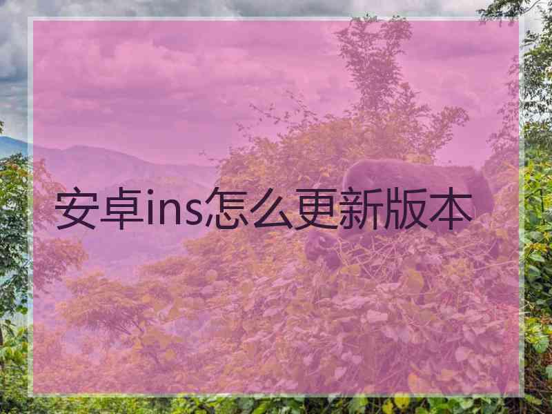 安卓ins怎么更新版本