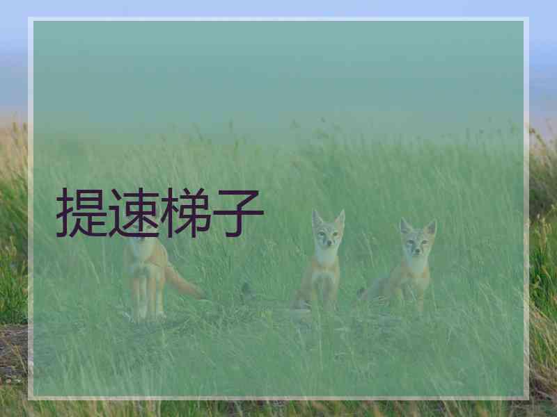 提速梯子