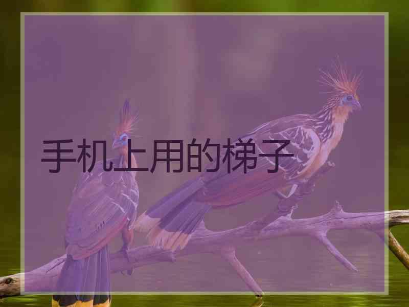 手机上用的梯子